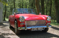 MG MIDGET(CDC 195C) 1965